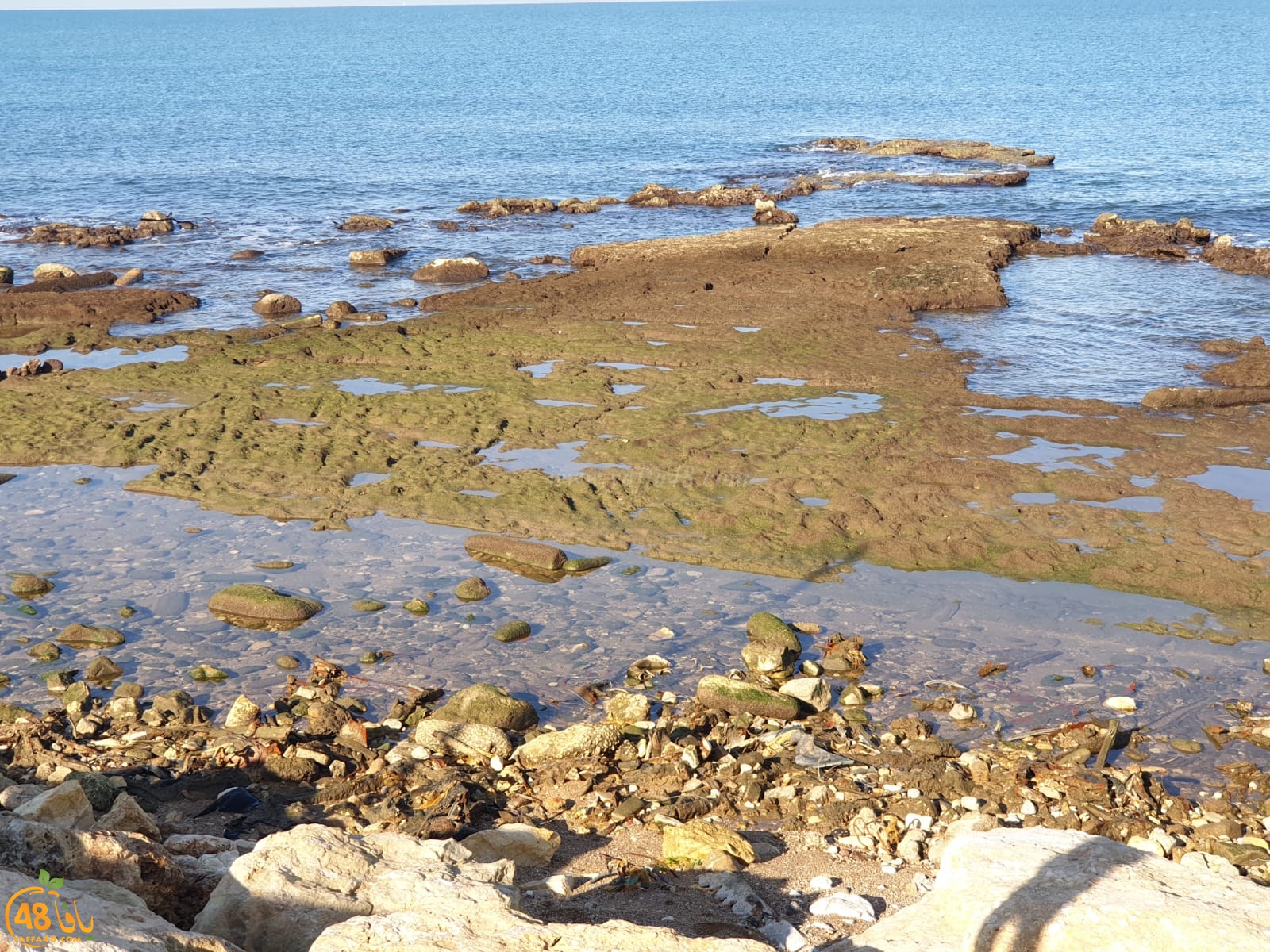  فيديو: تراجع في مستوى مياه البحر على شاطئ العجمي يافا